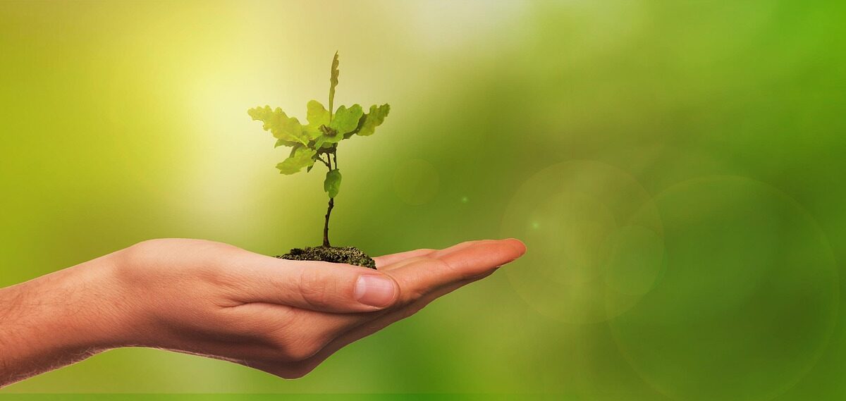 Tillit, närvaro och genuint engagemang