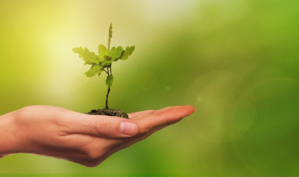 Tillit, närvaro och genuint engagemang