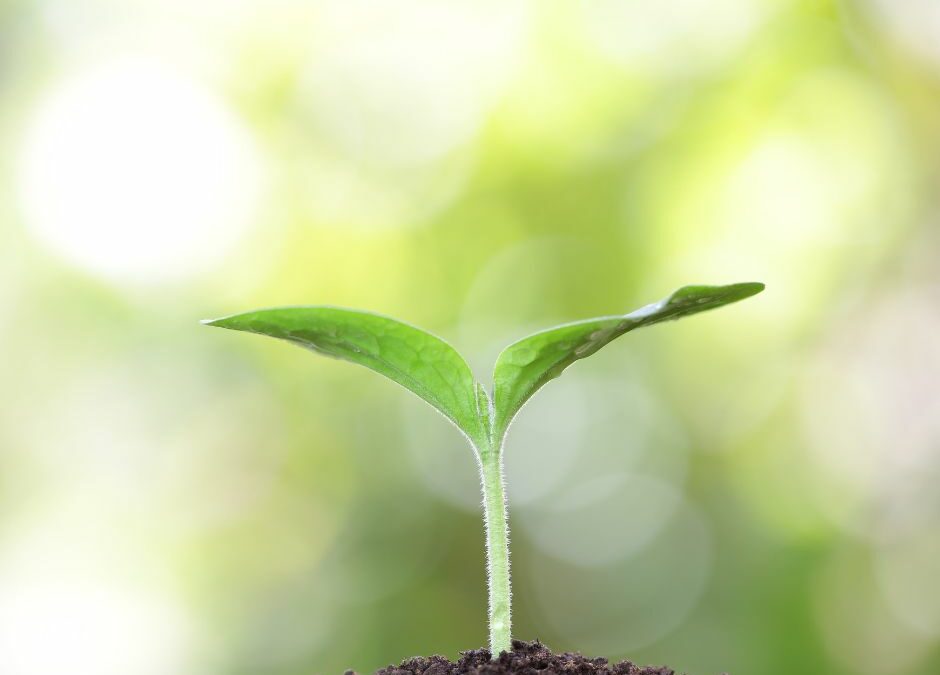 Att vara coach är mer än ett yrke