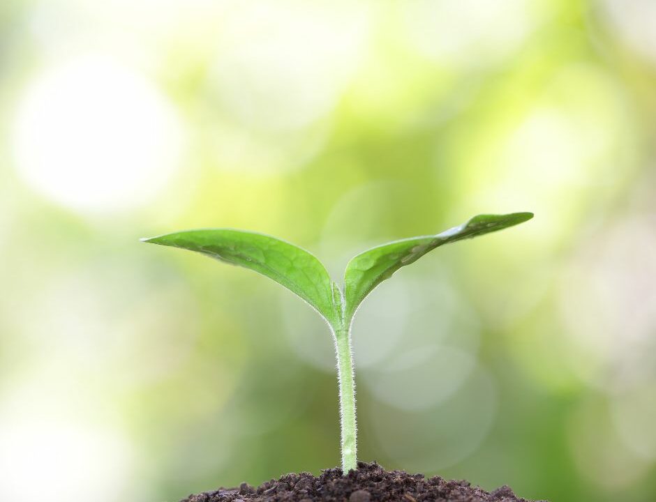 Att vara coach är mer än ett yrke